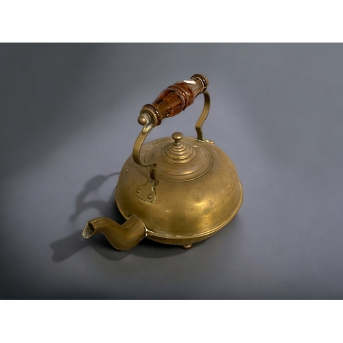 106 - AN AMBER GLASS HANDLED COPPER TEAPOT. TOGETHER WITH A SILVER PLATE TEAPOT.