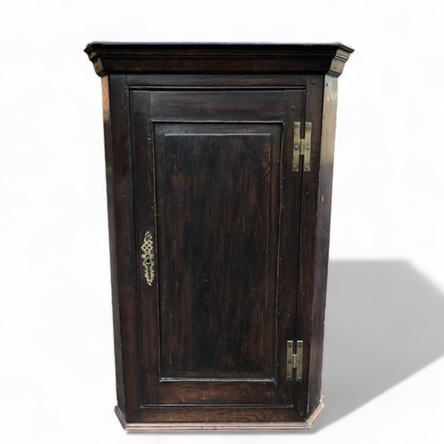 65 - A 19TH CENTURY WALL CORNER CUPBOARD.