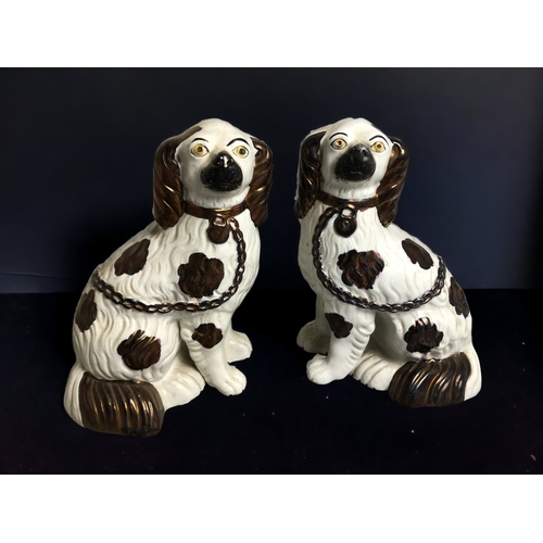 497 - A PAIR OF LARGE STAFFORDSHIRE DOGS