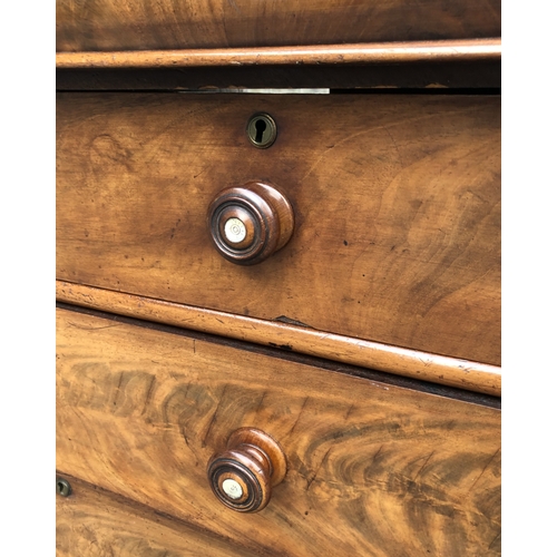 51 - A VICTORIAN MAHOGANY SCOTCH CHEST OF DRAWERS.