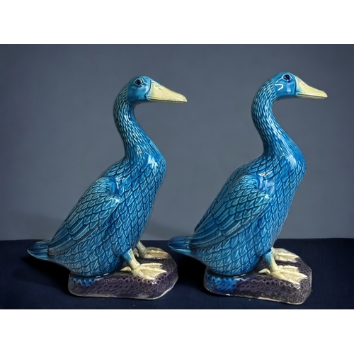 164 - A pair of large Chinese porcelain 'Turquoise glaze' ducks. 
Late Qing dynasty. 
Height - 29.5cm