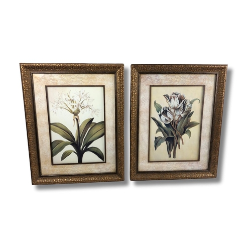 86 - Pair of Framed Botanical Watercolor Pictures