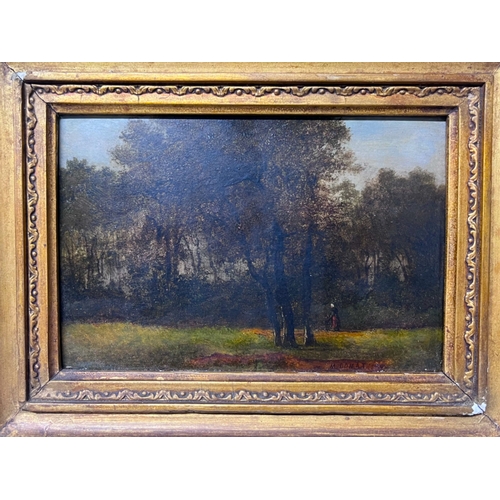 195 - M. DONAT (FRENCH f.l 1840-1880) OIL ON PANEL.
Woodland landscape.
Signed to lower right.
29 x 24cm