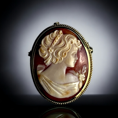 361 - A 9CT Gold Cameo Brooch/Pendant.
Finely carved female cameo.
Hallmarked to bail.
40 x 32mm