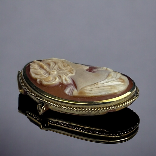 361 - A 9CT Gold Cameo Brooch/Pendant.
Finely carved female cameo.
Hallmarked to bail.
40 x 32mm