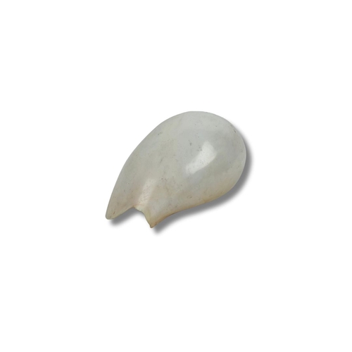 251 - Large Collectable Conch Sea Shell