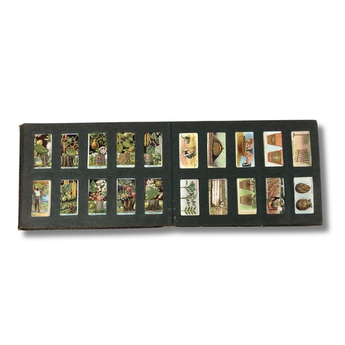 292 - Book of Cigarette Cards