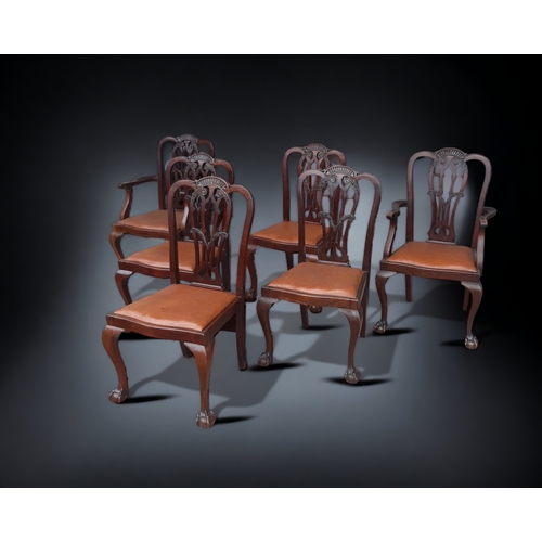 329 - A SET OF SIX LATE 19TH CENTURY CHIPPENDALE STYLE DINING CHAIRS. SOLID MAHOGANY CARVED & PIERCED BACK... 