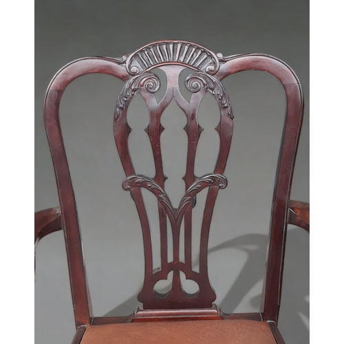 329 - A SET OF SIX LATE 19TH CENTURY CHIPPENDALE STYLE DINING CHAIRS. SOLID MAHOGANY CARVED & PIERCED BACK... 