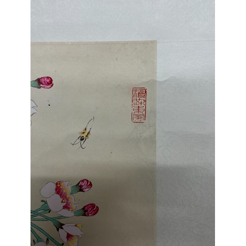 61A - Chinese school watercolour scroll painting. Depicting Starlings and insects in flight with blossomin... 