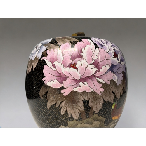 19 - A large Chinese cloisonne lidded jar.Apple shape, with large blossoms and exotic birds.Height - 25cm... 