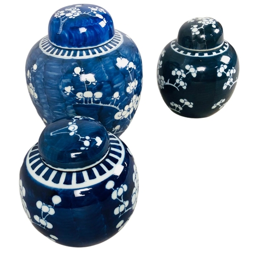 141 - Lidded Ginger Jars.  Prunus decorations.