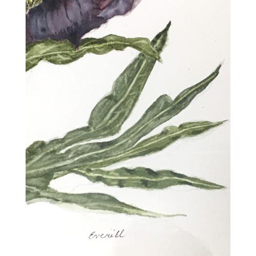 219 - Purple Peony by Everill - Watercolour Signed.Height 34cm (Image)Width 23.5cm