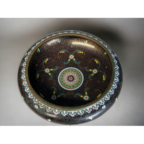 46 - A CHINESE CLOISONNE BOWL. Early 20th century. Intricately decorated with stylised foliate designs, a... 