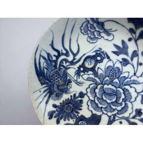 53 - A CHINESE PORCELAIN BLUE & WHITE DISH. Qing dynasty. Painted with a Phoenix and large blossoming... 