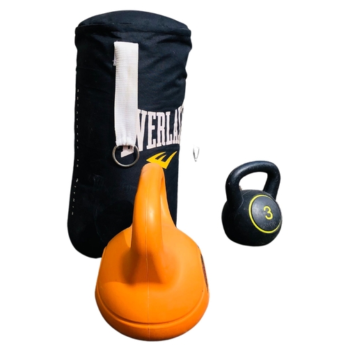 51 - Everlast Punch Bag and a Set of Kettlebells.