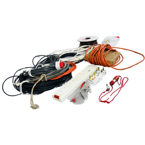 171 - Assortment of Cables and Extension Cords