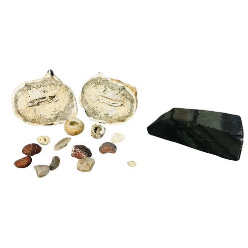 125 - Mineral and stone samples to include quartz geode, partial ammonite and others