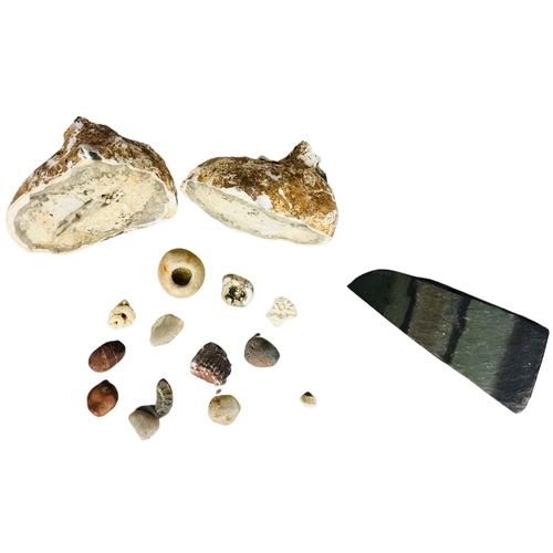 125 - Mineral and stone samples to include quartz geode, partial ammonite and others