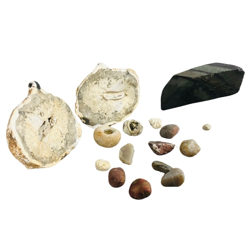 125 - Mineral and stone samples to include quartz geode, partial ammonite and others