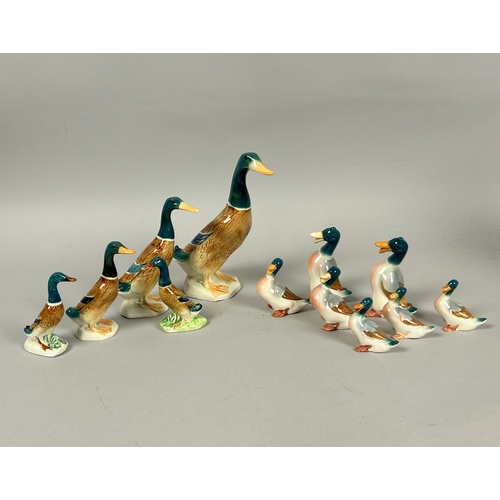 155 - Two set of Beswick 'Mallard' Duck sets. Twelve in total.