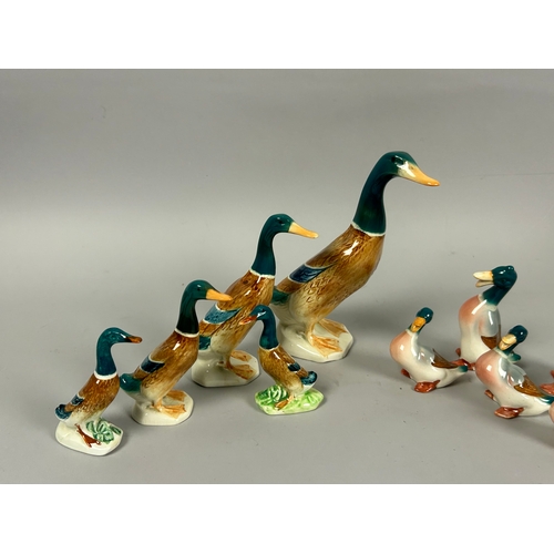 155 - Two set of Beswick 'Mallard' Duck sets. Twelve in total.