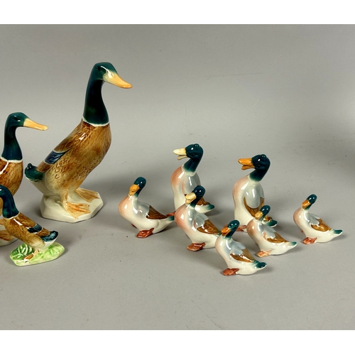 155 - Two set of Beswick 'Mallard' Duck sets. Twelve in total.