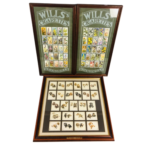 105 - Framed and Glazed Wills Cigarette Cards, Nice Rarer Dog examples.