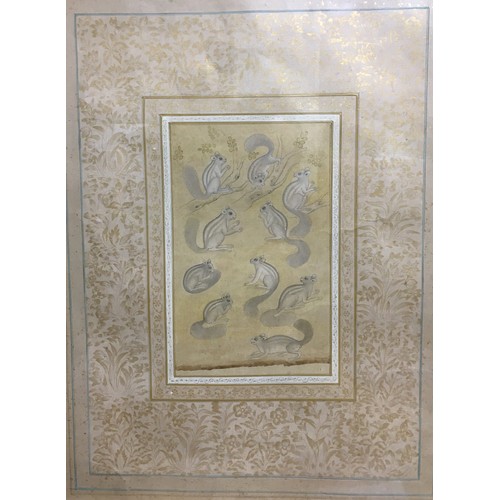 432 - Original Indian Squirrels Artwork - 10 Squirrels with Foliate Background and a highly intricate Gilt... 