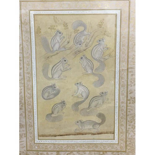 432 - Original Indian Squirrels Artwork - 10 Squirrels with Foliate Background and a highly intricate Gilt... 