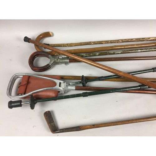 435 - Walking Sticks and Shooting Sticks Vintage and Later to include...An Early Blacksmith made Golf Club... 