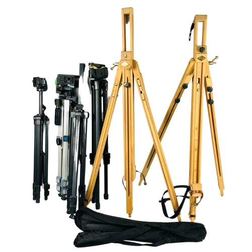 7 - Collection of Easels and Tripods