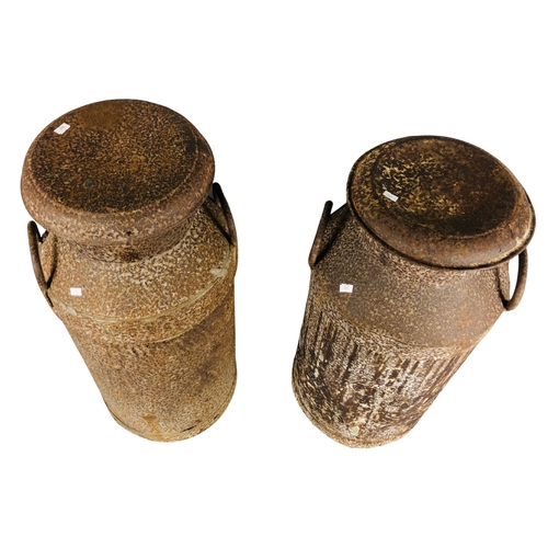 117 - 2 large vintage Milk Churns