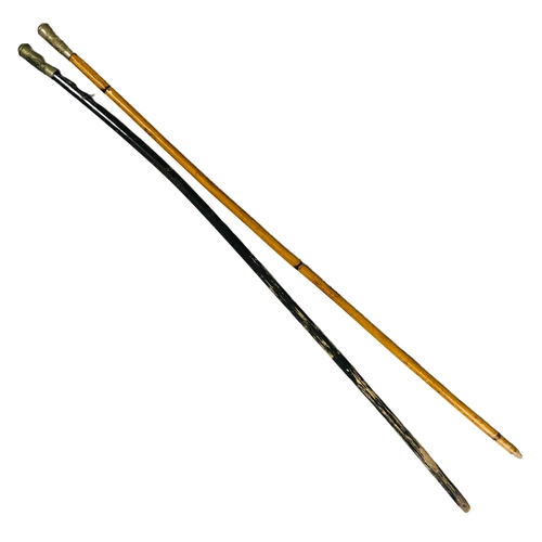 175 - 2 x Swagger sticks, one is malacca, the other ebonised. Bearing -  Hailey Bury OTC - The Other L.U.S... 