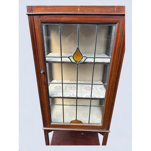 214 - Early 20thC Glass Fronted 3 shelf Display Case with leadwork stained glass and a shelf under.