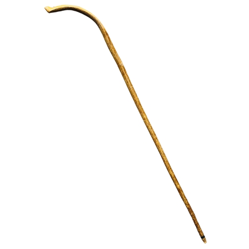 258 - Hazelwood hand carved walking staff