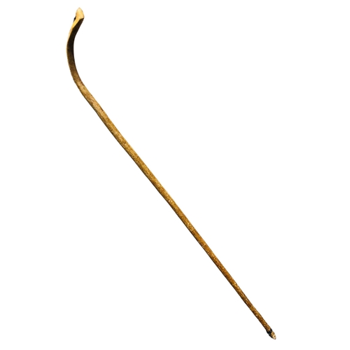 258 - Hazelwood hand carved walking staff