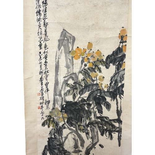 73 - A large Chinese Ink & colour scroll painting.Depicting Loquats in rocky outcrop.