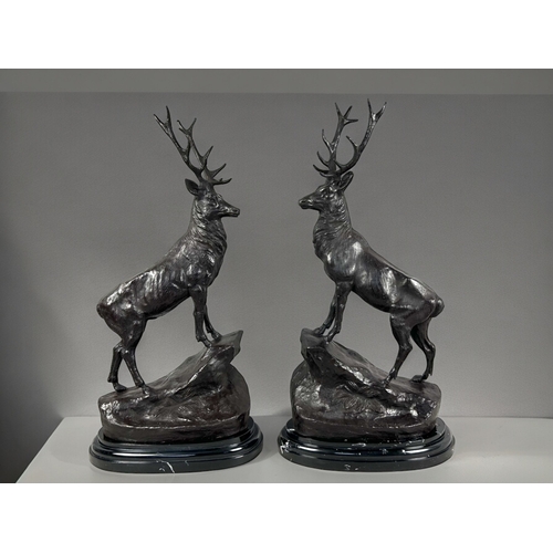 786 - A large pair of Bronze studies of Highland stags.After Moigneiz.Mounted on marble bases.Height - 75c... 