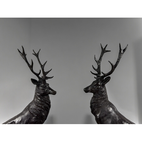 786 - A large pair of Bronze studies of Highland stags.After Moigneiz.Mounted on marble bases.Height - 75c... 