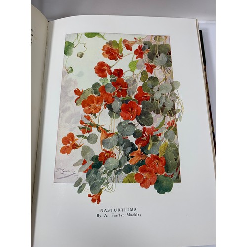 59 - Beautiful Flowers and How to Grow Them - (Wright) Published by T. C. & E. C Jack Ltd, London, 19... 