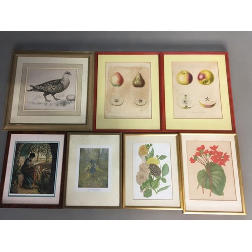 49 - 7 x 19th Century and later Colour Prints Fauna and Flora Interest.