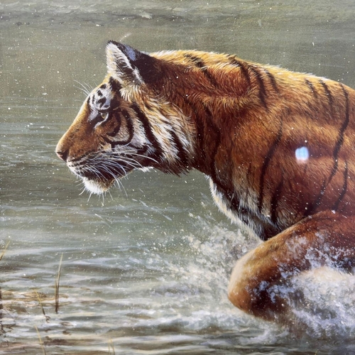 397 - A Large Print of a charging tiger 110x80 Ganghis by Andrew Ellis with golden frame