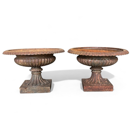 608 - Two classical style cast iron Urns.Raised on pedestal bases, with egg & dart motif.