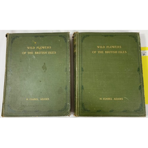 21 - 2 Volumes - Wildflowers of the British Isles - Illustrated and Written by H. Isabel Adams. 1907 Firs... 