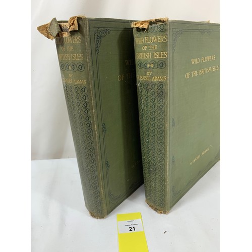 21 - 2 Volumes - Wildflowers of the British Isles - Illustrated and Written by H. Isabel Adams. 1907 Firs... 