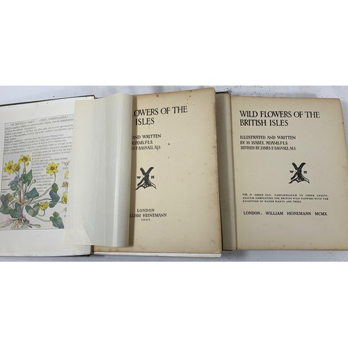 21 - 2 Volumes - Wildflowers of the British Isles - Illustrated and Written by H. Isabel Adams. 1907 Firs... 