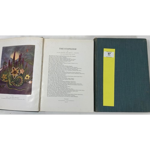 57 - The Stapeliinae - 3 Volumes (of 3) (Note: 3rd Volume arrived late and is not pictured) Pasadena, Cal... 