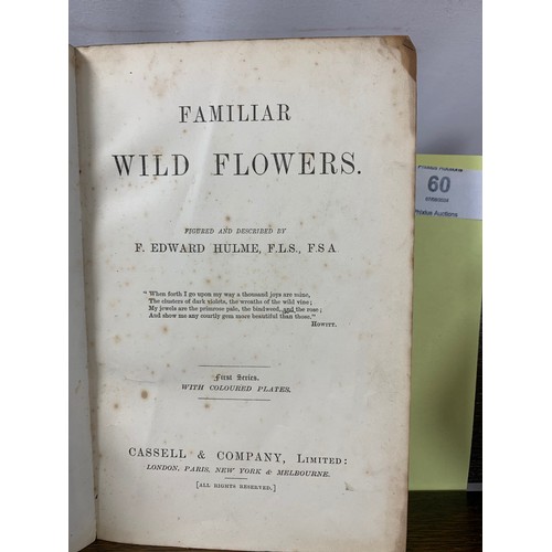 60 - Familiar Wild Flowers - First Series (Hulme) Cassel C. 1890's. Published by Cassell & Co, First ... 