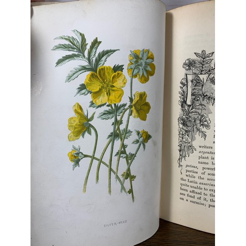 60 - Familiar Wild Flowers - First Series (Hulme) Cassel C. 1890's. Published by Cassell & Co, First ... 